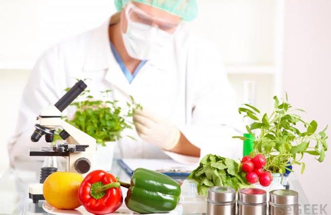 nutrition and food science courses